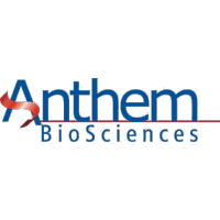 anthem Client Logo